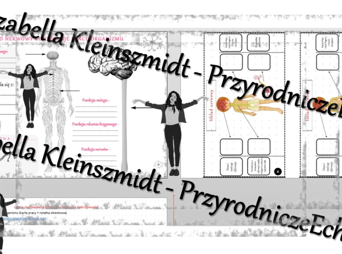 Karta pracy i pomysł/inspiracja na lekcję „Układ nerwowy kontroluje pracę organizmu” - karta pracy wykonana w power point + gratisowy pomysł na lekcję - link do lekcji multimedialnej niekomercyjnej wykonanej w genial.ly do indywidualnego pobrania i użyci