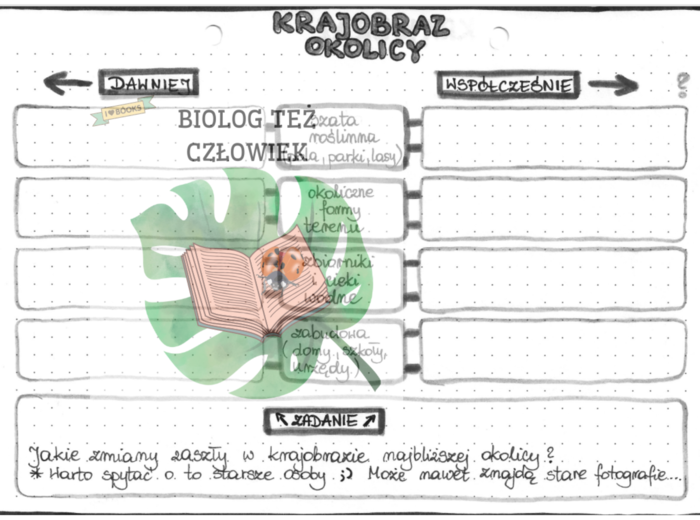 Krajobraz okolicy - szarość