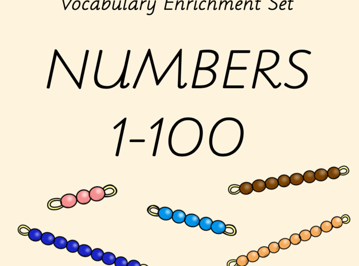 Zestaw kart obrazkowych: NUMBERS 1-100