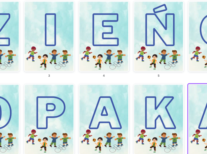 DZIEŃ CHŁOPAKA - GIRLANDA, NAPIS