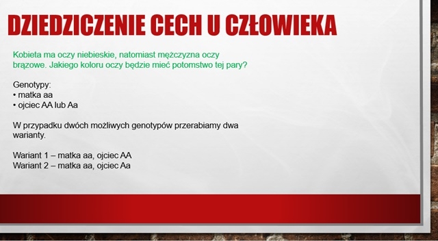 Dziedziczenie cech u człowieka - prezentacja
