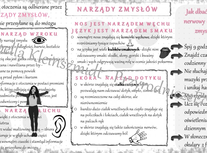 Sketchnotka „Narządy zmysłów” w power point do edycji, PRZYRODA do klasy 4 – dział IV „Odkrywamy tajemnice ciała człowieka”
