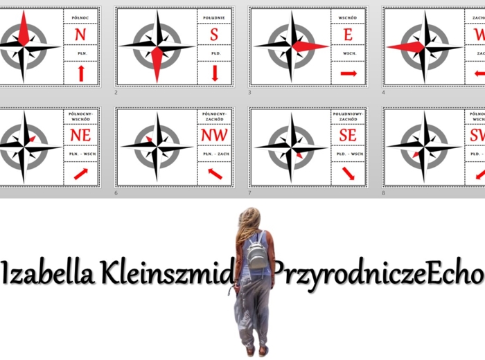 Puzzle/układanka/praca w grupach do zalaminowania. "Kierunki geograficzne", "Poznajemy warsztat przyrodnika ". Przyroda 4 "Określamy kierunki geograficzne"