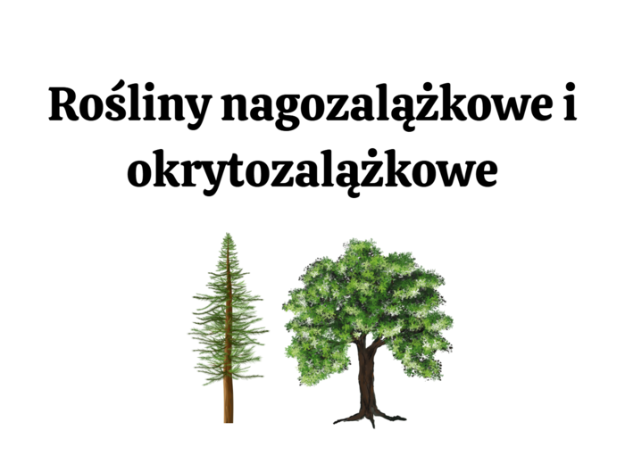 nagozalążkowe + okrytozalążkowe 2 KLASA BIOLOGIA ROZSZERZONA