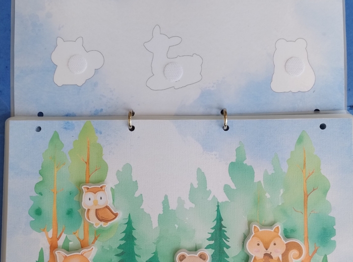 Zwierzęta i ich cienie