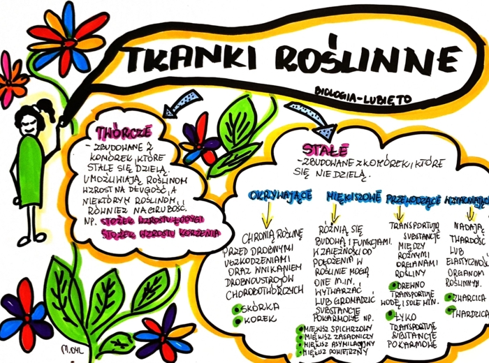 Klasa 5. Biologia. Tkanki roślinne (karta pracy kolorowa)