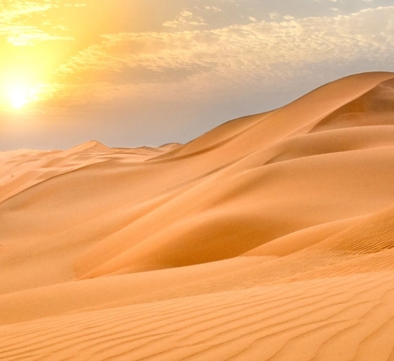 Eko-memory obrazkowe. Motywy przyrodnicze. Zwierzę - środowisko. Drzewo - liść.