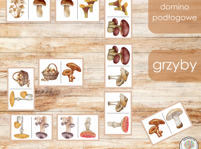 Domino podłogowe - grzyby