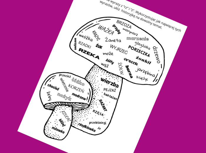 Ortograficzna CHMURA wyrazowa RZ/Ż - ortografia - karta pracy - ćwiczenia redakcyjne