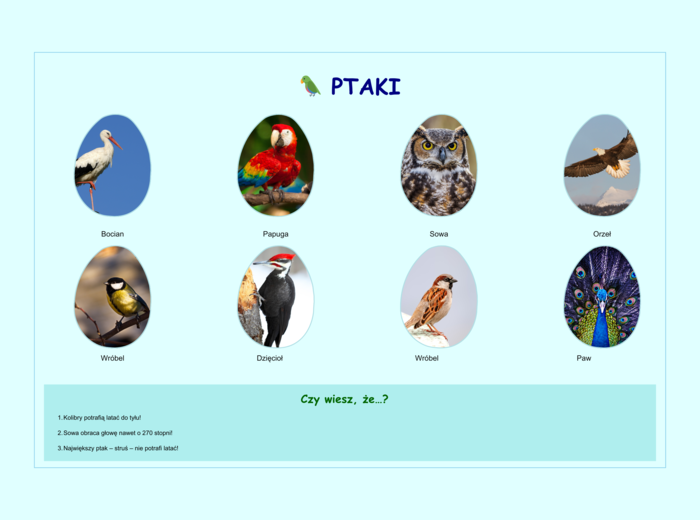 Plansze z gatunkami zwierząt (ssaki, ryby, ptaki, owady)