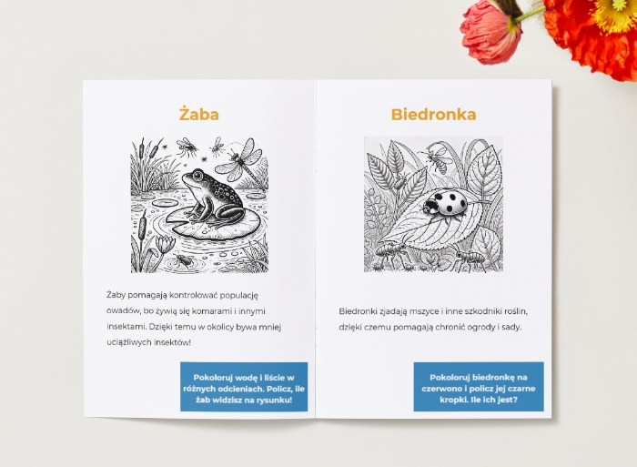 Kolorowanki z elementami edukacyjnymi. Zwierzęta. Ciekawostki. Rola zwierząt w ekosystemie