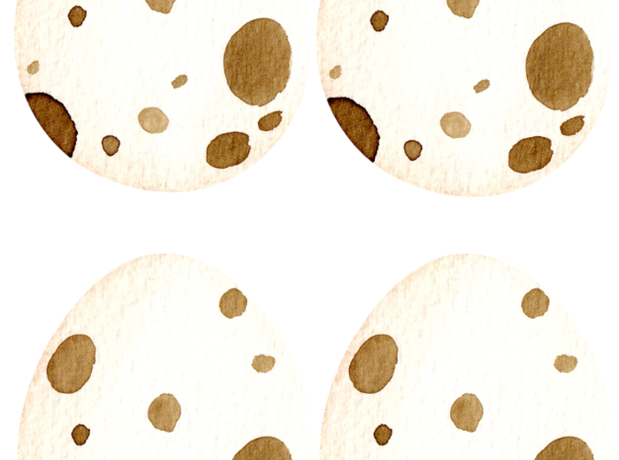 Paka na DZIEŃ DINOZAURA - wersja LUTY 2025! Uzupełniona, odświeżona, pełna nowych zadań!