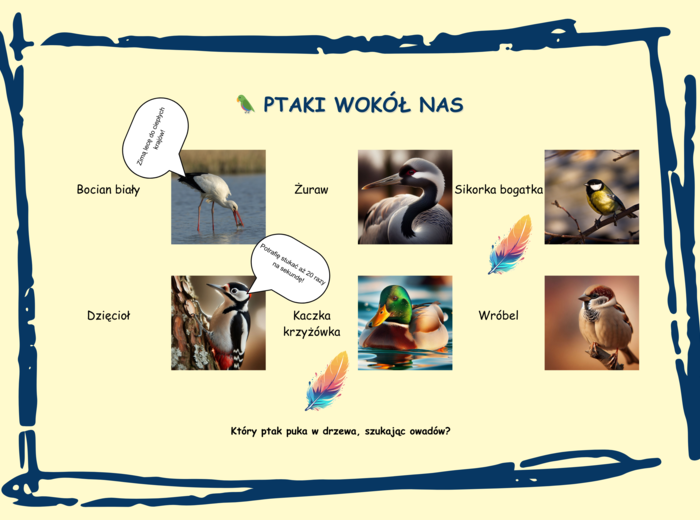 Czym jest ekologia? Zwierzęta leśne. Grzyby. Ciekawostki. Hotelik dla owadów. Naklejki. Mini-bajka.