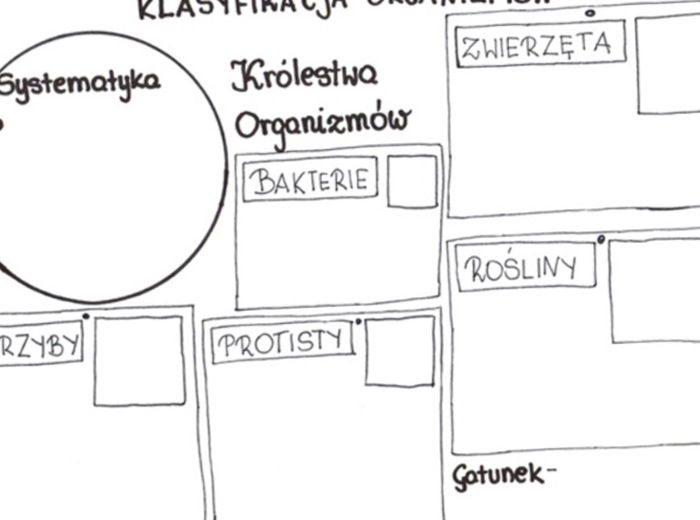 Klasyfikacja organizmów (karta pracy)