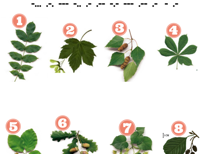 Ekologiczny Escape Room "Ocalić Ziemię" dla klas 5-8