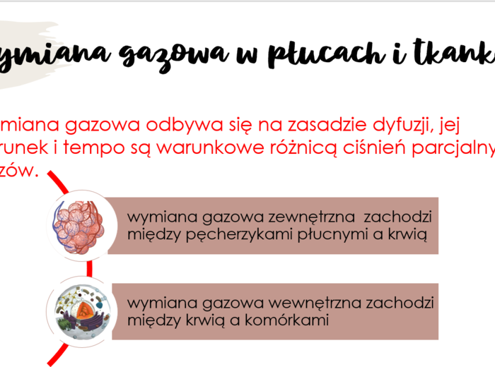 Układ oddechowy KLASA 2 PODSTAWA BIOLOGIA