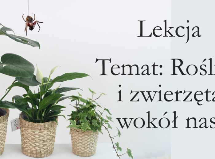 Klasa 4 - Rośliny i zwierzęta wokół nas - prezentacja