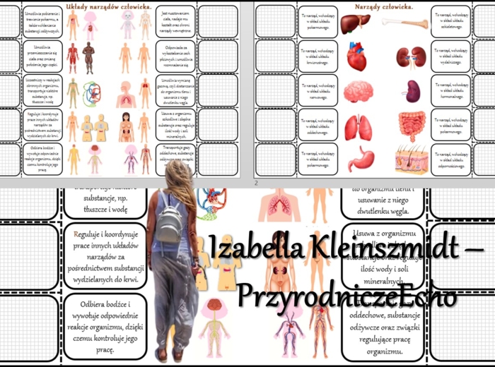 Notatka okienkowa/stacja zadaniowe/notatka/notatka graficzna/karta pracy/sketchnotka „Narządy i układy narządów człowieka”, „Organizm człowieka jako funkcjonalna całość” w pdf. Biologia 7 dział „Organizm człowieka. Skóra - powłoka organizmu”. Materiał wy