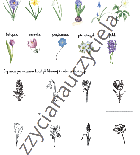 Wiosna - karty pracy
