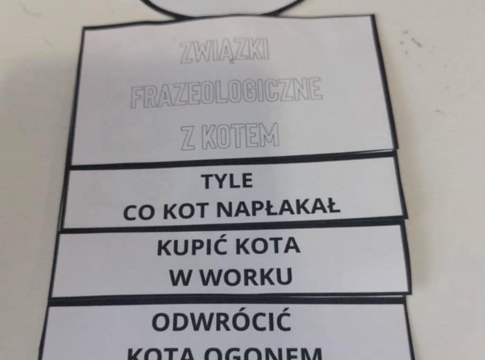 Frazeologizmy z kotem i ilustracją do kolorowania