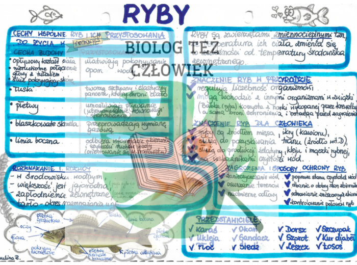 Zwierzęta - Kręgowce - RYBY (kolor)