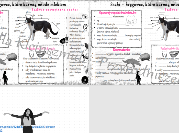 Mini zestaw do tematu „Ssaki – kręgowce, które karmią młode mlekiem” – sketchnotka i karta pracy w pdf + gratisowy link do prezentacji multimedialnej niekomercyjnej wykonanej w genial.ly do indywidualnego pobrania i użycia do celów niekomercyjnych. Biolo