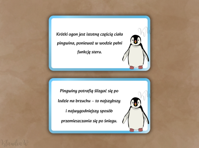 DZIEŃ PINGWINA - ZESTAW