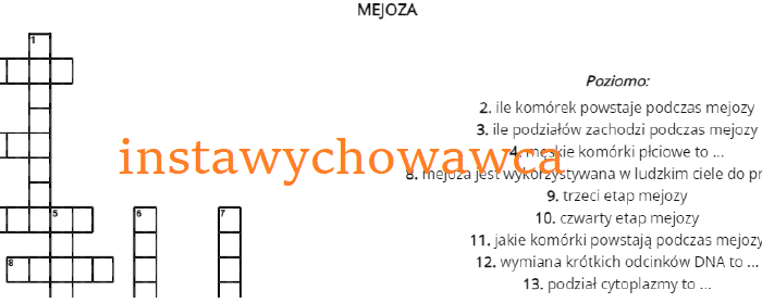 Mejoza - krzyżówka