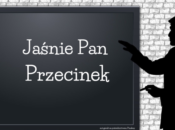 Gazetka na wesoło! Interpunkcja - zasady stosowania przecinków wierszem! HIT! Do wydruku lub wyświetlenia!