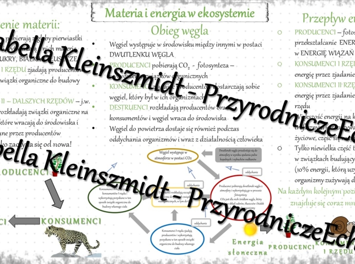 Sketchnotka - notatka „Materia i energia w ekosystemie” wykonana w power point do edycji. Biologia 8; „EKOLOGIA”