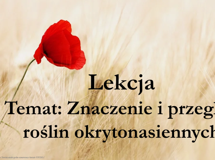 Okrytonasienne - klasa 5 - prezentacja cz.3