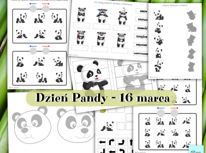 Dzień Pandy. 16 marca. Zestaw zadań