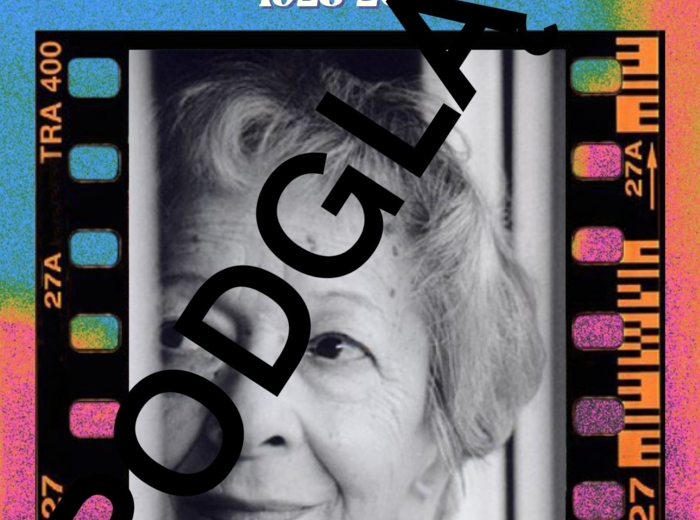 Polscy pisarze - gazetka