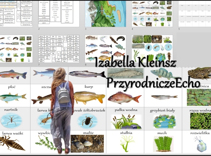 Materiał do zalaminowania/praca w grupach/stacje zadaniowe/układanka/puzzle „Z biegiem rzeki” w pdf. Przyroda, dział „Odkrywamy tajemnice życia w wodzie i na lądzie”.