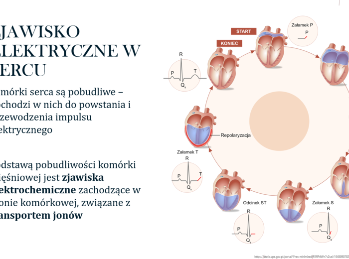 Funkcjonowanie układu krwionośnego KLASA 3 ROZSZERZENIE BIOLOGIA