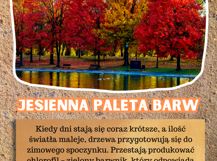 JESIEŃ - zestaw materiałów