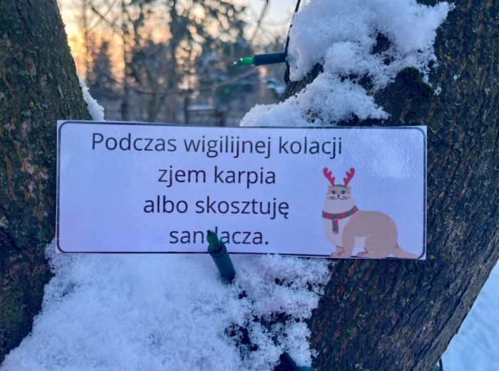 Zdania złożone współrzędnie - przykłady świąteczne - Boże Narodzenie