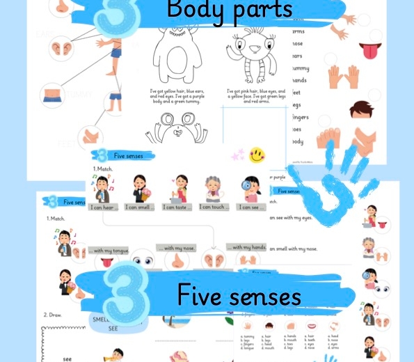 Body parts and five senses.