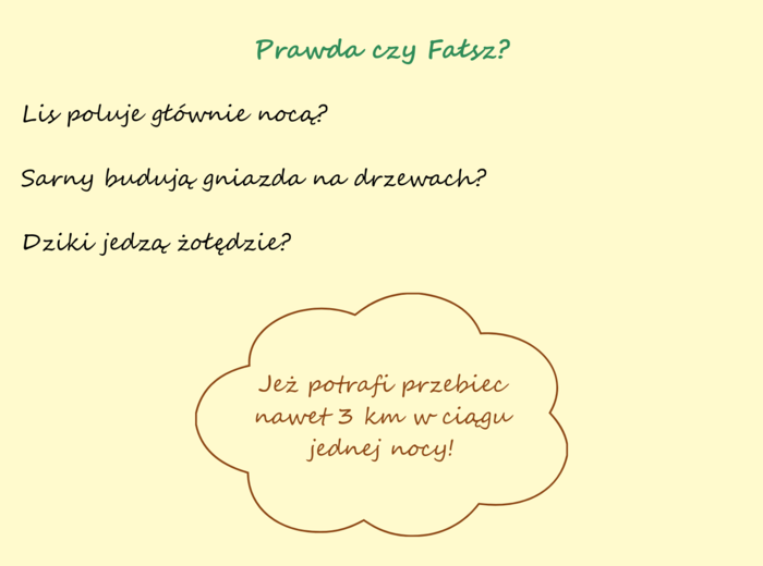 Zwierzęta naszych lasów. Plakat. Bingo