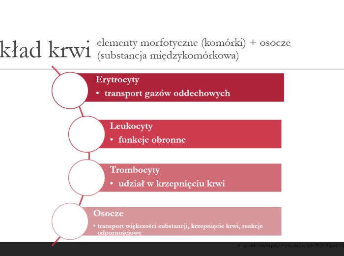 Układ krążenia + odporność KLASA 3 ROZSZERZENIE BIOLOGIA