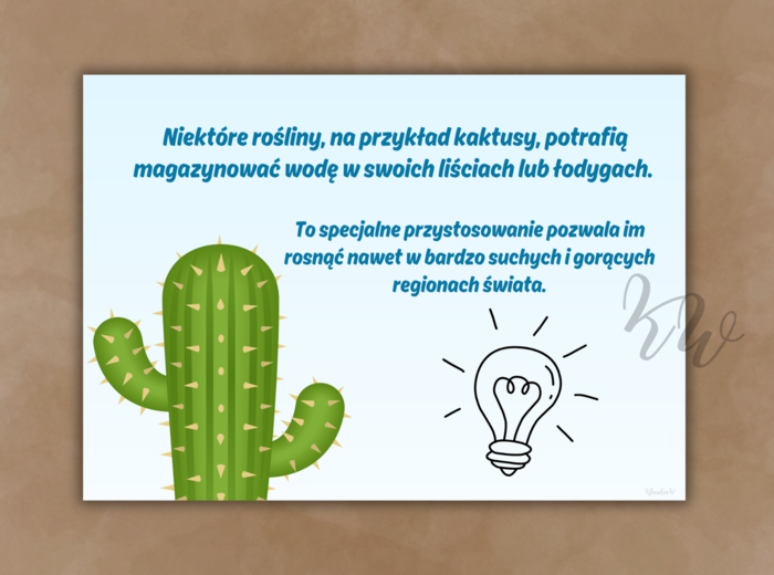 DZIEŃ WODY - ZESTAW