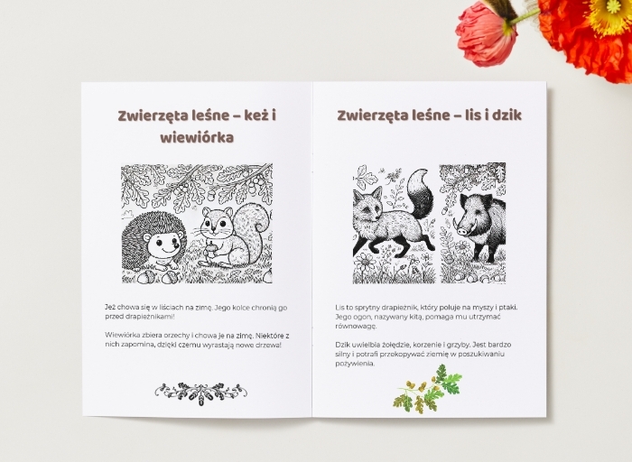 Kolorowanki. Zwierzęta. Rośliny. Grzyby. Sceny związane z ochroną przyrody.