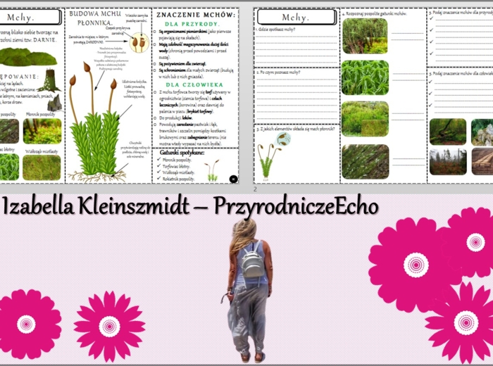 Minizestaw do tematu „Mchy” – sketchnotka + karta pracy w pdf + gratisowy link do prezentacji multimedialnej niekomercyjnej wykonanej w genial.ly do indywidualnego pobrania i użycia do celów niekomercyjnych. Biologia 5, Dział „Różnorodność roślin”.