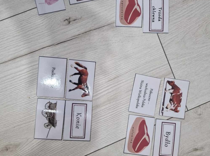 Produkcja zwierzęca w Polsce/do zalaminowana/układanka/puzzle/rozmieszczenie chowu w Polsce/rozpoznawanie gatunków w pdf. „Produkcja zwierzęca”. Geografia 7 "Rolnictwo i przemysł Polski"