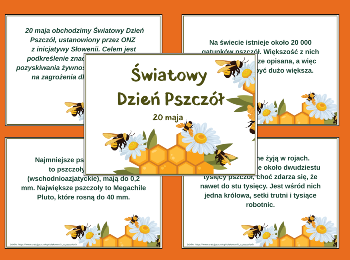 DZIEŃ PSZCZÓŁ – ciekawostki o pszczołach – wiosna – GAZETKA – biblioteka – świetlica – 13 stron – wersja 3