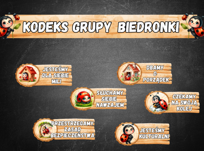 KODEKS GRUPA BIEDRONKI