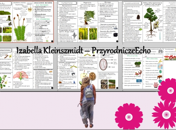 Zestaw sketchnotek/książeczek/notatek/wklejek/ściąg dla ucznia i przypomnień dla nauczyciela/edukacja domowa w pdf do całego działu. Biologia 5, dział „Różnorodność roślin”. Nowość 2024/2025.