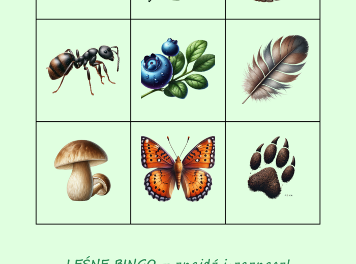 Zwierzęta naszych lasów. Plakat. Bingo