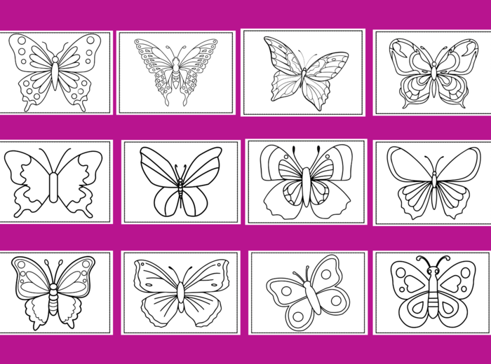 DZIEŃ MOTYLA – Galeria portretów – kolorowanka – kolorowanki – WIOSNA – biblioteka – świetlica – przedszkole – 30 wersji