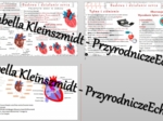 Sketchnotka - notatka „Budowa i działanie serca” wykonana w power point do edycji. Biologia 7; „Układ krążenia”